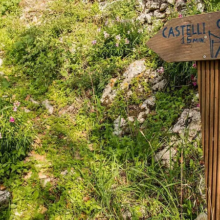 Castelli Olive Press Landsted