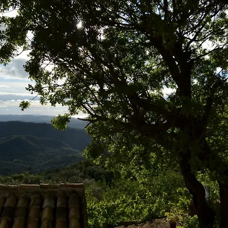 Landsted Castelli Olive Press