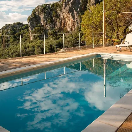 Castelli Olive Press Landsted *