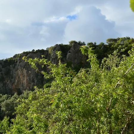 Castelli Olive Press *