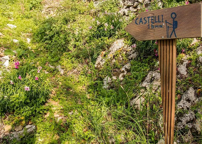 Castelli Olive Press Landhuis