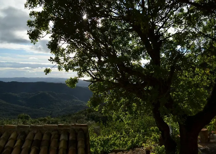 Landhuis Castelli Olive Press