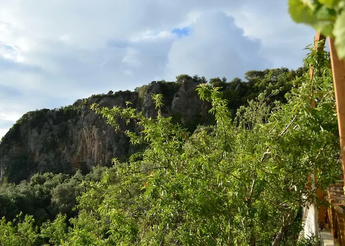 Castelli Olive Press *